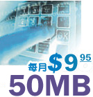 Web Hosting